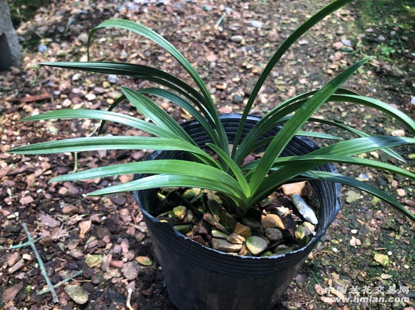 【Bsports必一体育】别让“红头文件”跑题成权力臆想_时事政治_中公教育网(图1) Bsports必一体育