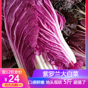 《屋塔房王世子》第3集 jyj朴有天熊抱郑柔美挨耳光【Bsports必一体育】(图1) Bsports必一体育