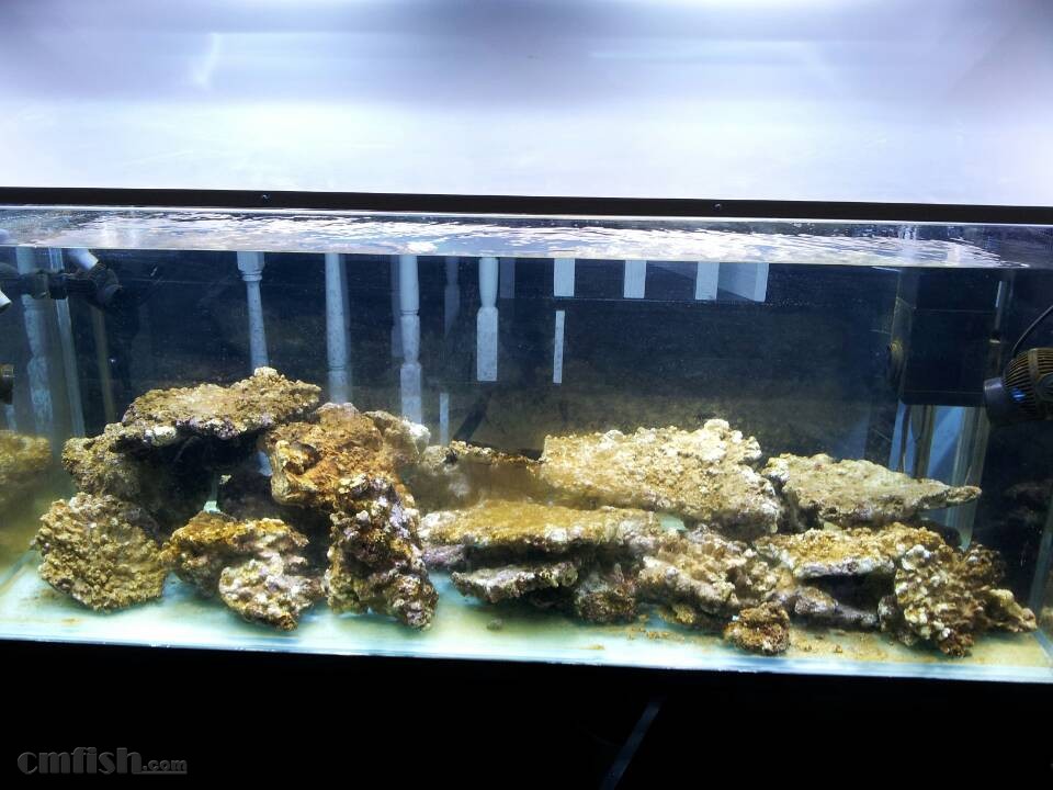 “必一”感谢您,亲爱的祖国_时事政治_中公教育网(图4) 必一