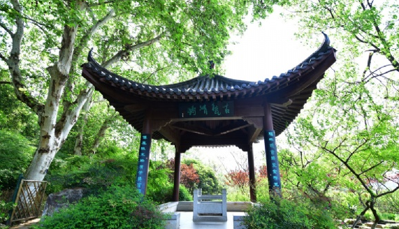 高中政治:必修二《政治生活》基础知识点梳理,推荐收藏|b体育(图2) 必一