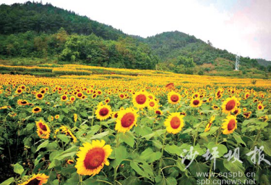 对“十差不满意单位”不能止于检讨_时事政治_中公教育网_b体育(图3) Bsports必一体育