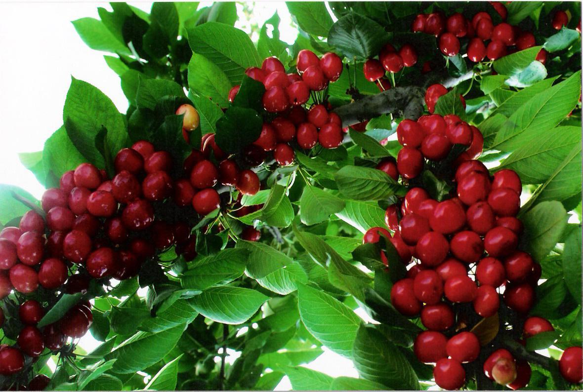 【必一】岳靖川《有生之年 心死之前》首播 绝望与倔强交织(图1) 必一