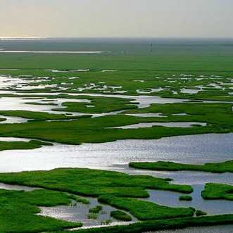 ‘必一’周艳泓“激情广场” 兵哥哥争做灰太狼(图2) 必一