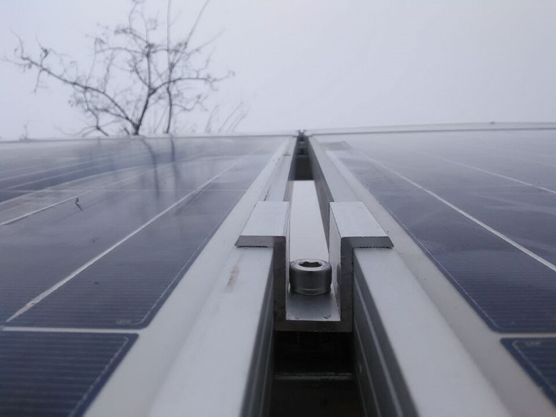 张晋发文宣布蔡少芬三胎生子 取名张乐儿-Bsports必一体育(图2) Bsports必一体育