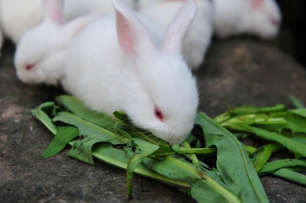 共享祖国繁荣富强伟大荣光_时事政治_中公教育网-b体育(图1) b体育