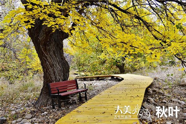 尤长靖MV拍摄花絮释出 揭秘音乐奇幻冒险_Bsports必一体育(图1) Bsports必一体育