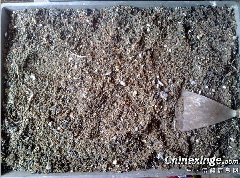 必一-让民众在“春运”中拥有更多幸福感_时事政治_中公教育网(图3) Bsports必一体育